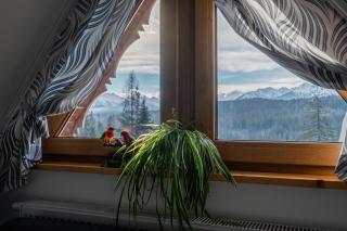 Tybet Domki i Apartamenty - Bukowina Tatrzańska - 1