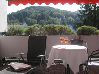 Appartement Panoramablick - Baden-Baden - 6