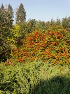 Augšistaba Beči - 9