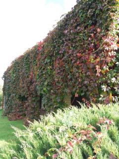 Augšistaba Beči - 8