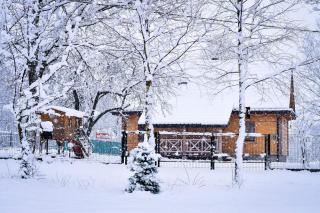 Trzy Stawy - Pysznica - 0