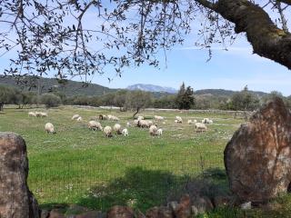 Agriturismo Pira Pinta - 4