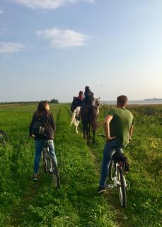 Agriturismo Valle Ca' del Lovo - 1