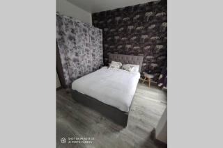 T2 Proche Gare avec parking à 30 min de Paris - 3