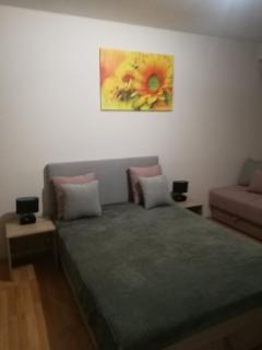 Apartmani Radivojević - 9