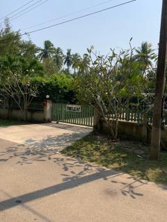 The Leaf Bankrut - 3