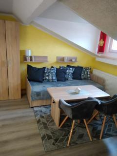 Apartmán POHODA Javorník - Javorník - 3