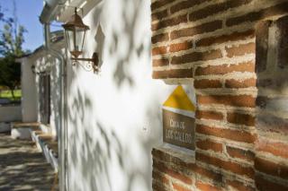 Lagar de Viña Vieja - 2