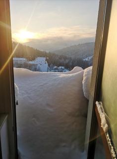 Apartamenty Poziomkowe - 4