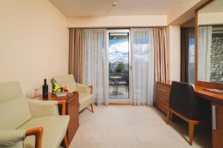 Hotel Podgorica - Podgorica - 8