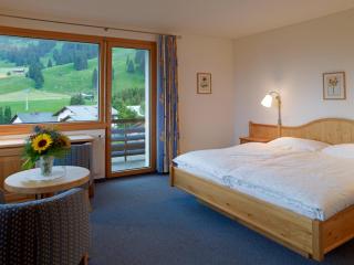 Hotel Alpina Parpan - Parpan - 2