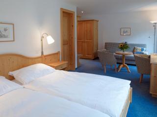 Hotel Alpina Parpan - Parpan - 3