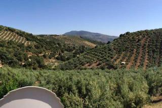 Elegant Villa in Granada with Pool and Garden - Granada - 4
