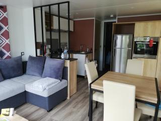 MOBILHOME GASTES LANDES - Gastes - 7