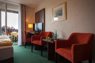 Hotel Berghof - Willingen - 9