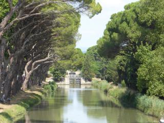 Domaine de l’Herbe Sainte - Mirepeisset - 9