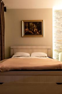Terranova Apartment (city central) - Belgrado - 3