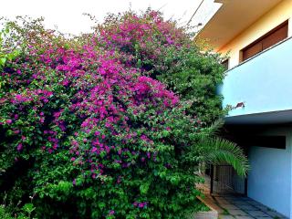 QUIET HOUSE GARDEN NAPLES-POMPEI-SORRENTO - Trecase - 6