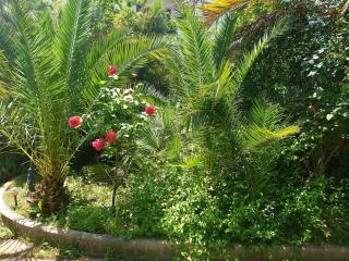 QUIET HOUSE GARDEN NAPLES-POMPEI-SORRENTO - Trecase - 8