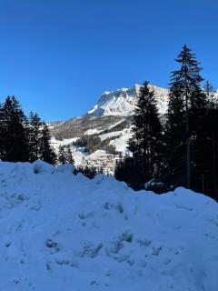 ALBERGO BAR RISTORANTE DOLOMIA - 7