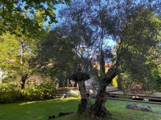 L'Esprit d'O - Lacanau - 3