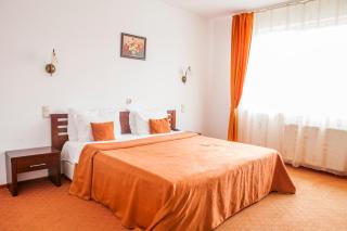 Complex Turistic Darina Sancraiu de Mures - 9
