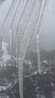 Aneeki Ski Lodge - Thredbo - 2