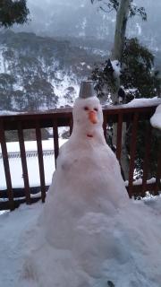 Aneeki Ski Lodge - Thredbo - 5