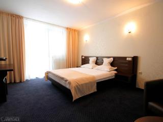 3 Stejari Brasov - Braşov - 8