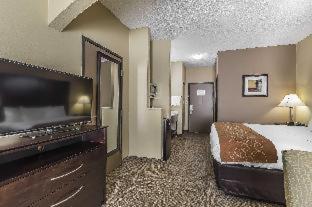 Comfort Suites The Colony - Plano West - The Colony - 2