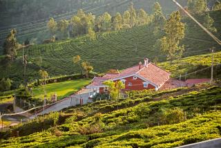 Teanest Nightingale by Nature Resorts and Stays - Kotagiri - 2