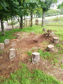 Looe Yurts - Looe - 5