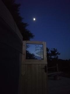 Looe Yurts - Looe - 3