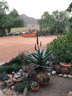 Koedoeskloof Guesthouse - Ladismith - 7