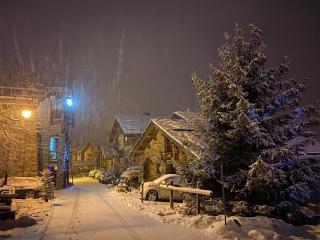 Chalet Victoria - 3