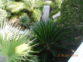 Apartments Sino More - Tivat - 6