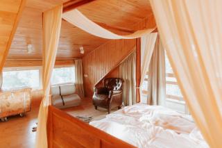 Living In Delta - Casa de vacanta - 6