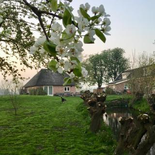 Groeten uit Hoogmade - rural cottage - 9