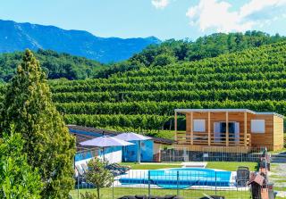 Saxida Wine Estate - Zalošče - 9