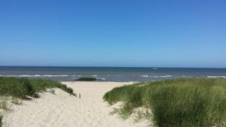 't Staartstuk, in Natuurgebied en vlakbij het Strand - 8