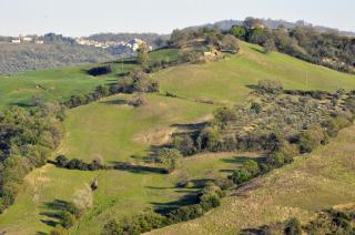 La Colombera in Toscana - Roccalbegna - 6