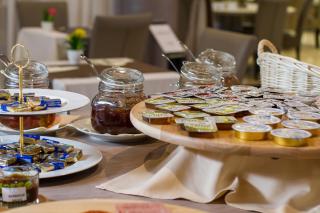 Royal Airport Hotel - Velika Gorica - 8
