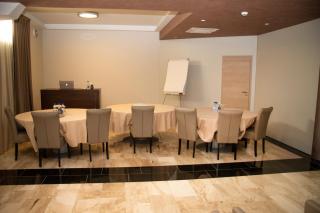 Royal Airport Hotel - Velika Gorica - 1