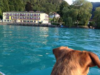 See-Hotel Post am Attersee - Weißenbach am Attersee - 4