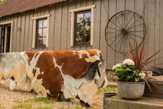 Maamehe golfi talu - 0