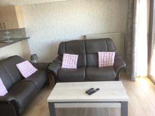 Panoramisch appartement tussen zee ,bos en de duinen - De Panne - 2