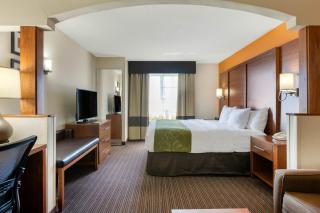 Comfort Suites Stevensville - St Joseph - 9