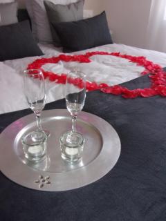 Le Bourget - Envolée Romantique - 5