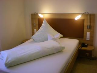 Hotel Goldener Löwe - 1