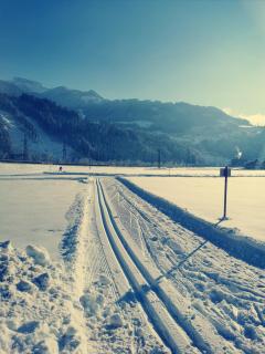 Apart Platzer - Zell am Ziller - 7